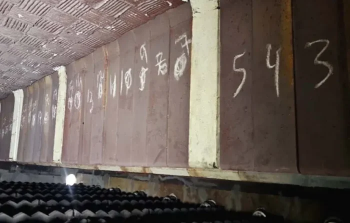 AMTPJ HF TF REPORT AMTPJ HF TF REPORT